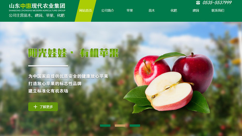 煙臺網(wǎng)站建設案例